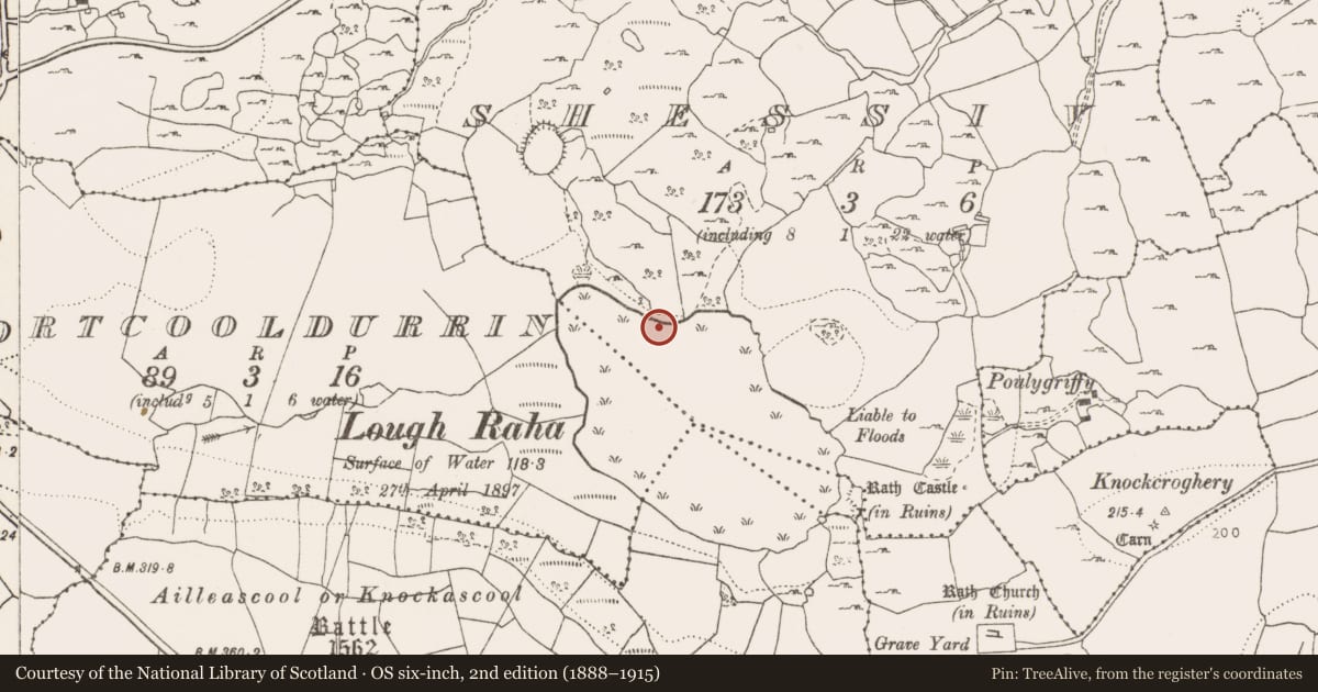 Ordnance Survey six-inch map, 2nd edition (1888–1915) covering the location of Ritual site - holy/saint's stone, Shessiv, County Clare, with a pin at the register's coordinates