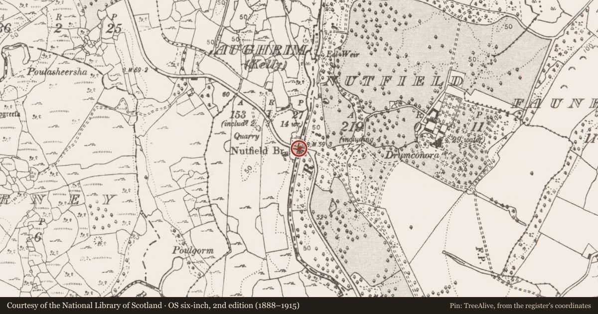 Ordnance Survey six-inch map, 2nd edition (1888–1915) covering the location of Inscribed stone, Nutfield, Aughrim (Kelly), County Clare, with a pin at the register's coordinates