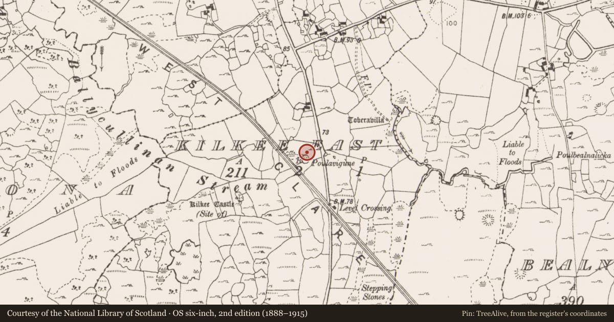Ordnance Survey six-inch map, 2nd edition (1888–1915) covering the location of Fulacht fia, Kilkee East, County Clare, with a pin at the register's coordinates