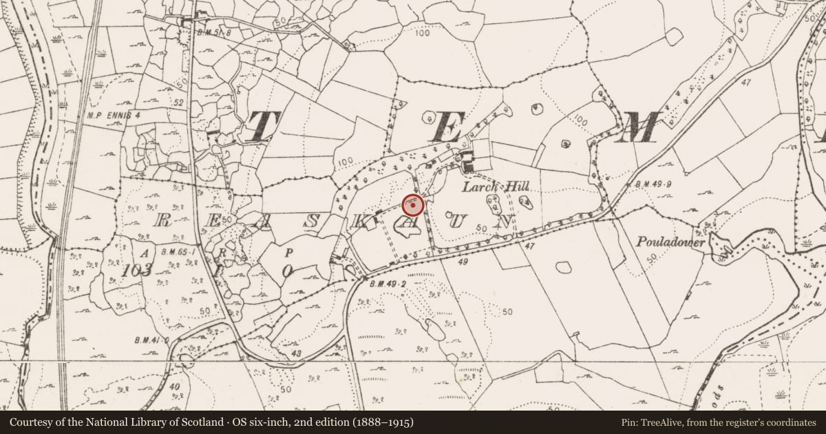 Ordnance Survey six-inch map, 2nd edition (1888–1915) covering the location of Fulacht fia, Reaskaun, County Clare, with a pin at the register's coordinates