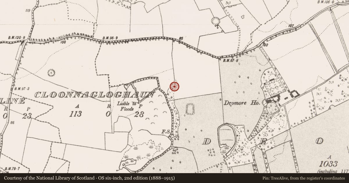 Ordnance Survey six-inch map, 2nd edition (1888–1915) covering the location of Mound, Dromore, County Clare, with a pin at the register's coordinates
