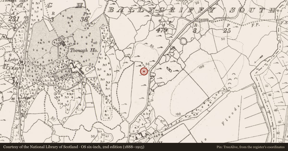 Ordnance Survey six-inch map, 2nd edition (1888–1915) covering the location of Fulacht fia, Ballygriffy South, County Clare, with a pin at the register's coordinates