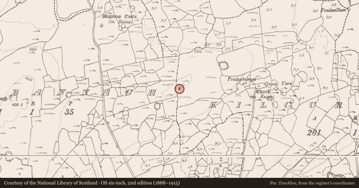 Ordnance Survey six-inch map, 2nd edition (1888–1915) covering the location of Cairn - unclassified, Kilcurrish, County Clare, with a pin at the register's coordinates