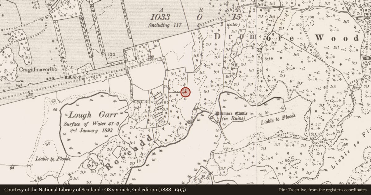 Ordnance Survey six-inch map, 2nd edition (1888–1915) covering the location of House - 16th/17th century, Dromore, County Clare, with a pin at the register's coordinates