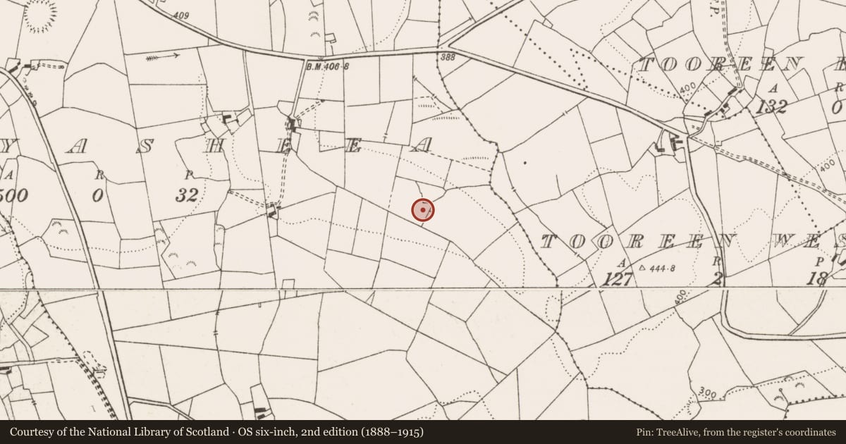 Ordnance Survey six-inch map, 2nd edition (1888–1915) covering the location of Castle - unclassified, Ballyasheea, County Clare, with a pin at the register's coordinates