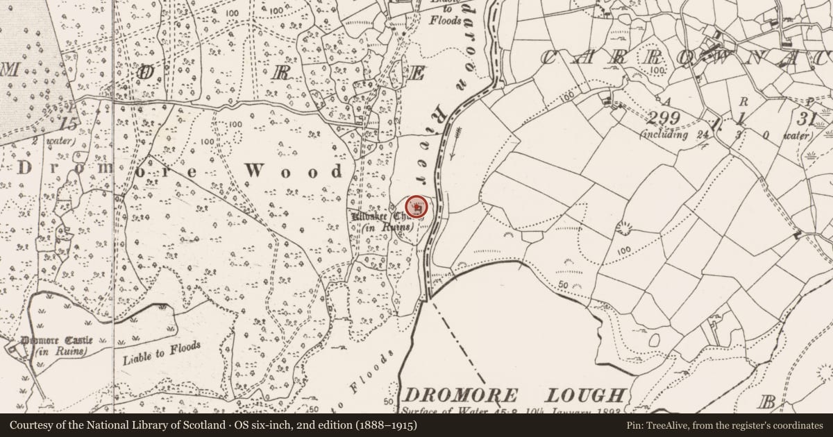 Ordnance Survey six-inch map, 2nd edition (1888–1915) covering the location of Church, Dromore, County Clare, with a pin at the register's coordinates