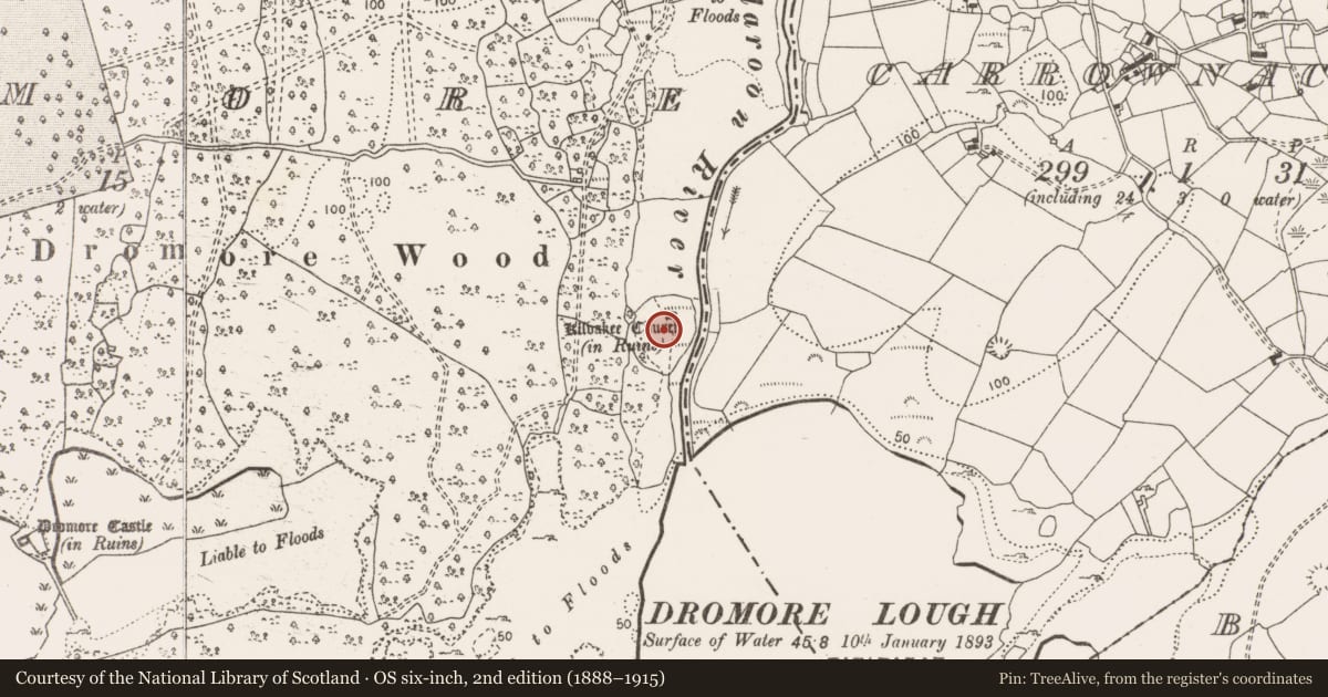 Ordnance Survey six-inch map, 2nd edition (1888–1915) covering the location of Ecclesiastical enclosure, Dromore, County Clare, with a pin at the register's coordinates