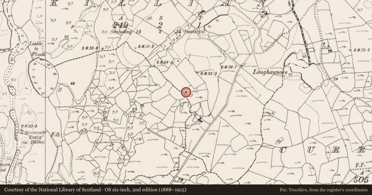Ordnance Survey six-inch map, 2nd edition (1888–1915) covering the location of Ringfort - cashel, Killian, County Clare, with a pin at the register's coordinates
