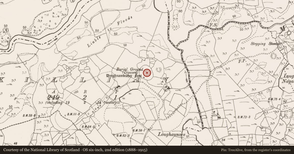 Ordnance Survey six-inch map, 2nd edition (1888–1915) covering the location of Children's burial ground, Killian, County Clare, with a pin at the register's coordinates