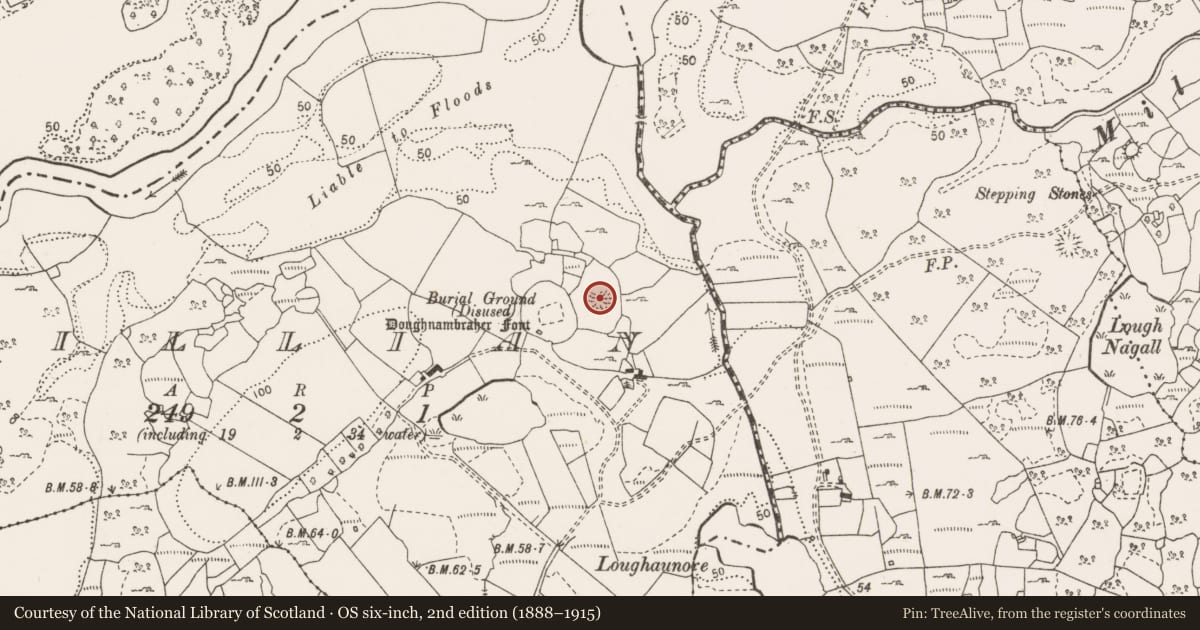 Ordnance Survey six-inch map, 2nd edition (1888–1915) covering the location of Ringfort - cashel, Killian, County Clare, with a pin at the register's coordinates