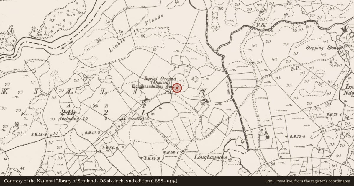 Ordnance Survey six-inch map, 2nd edition (1888–1915) covering the location of Cursing stone, Killian, County Clare, with a pin at the register's coordinates