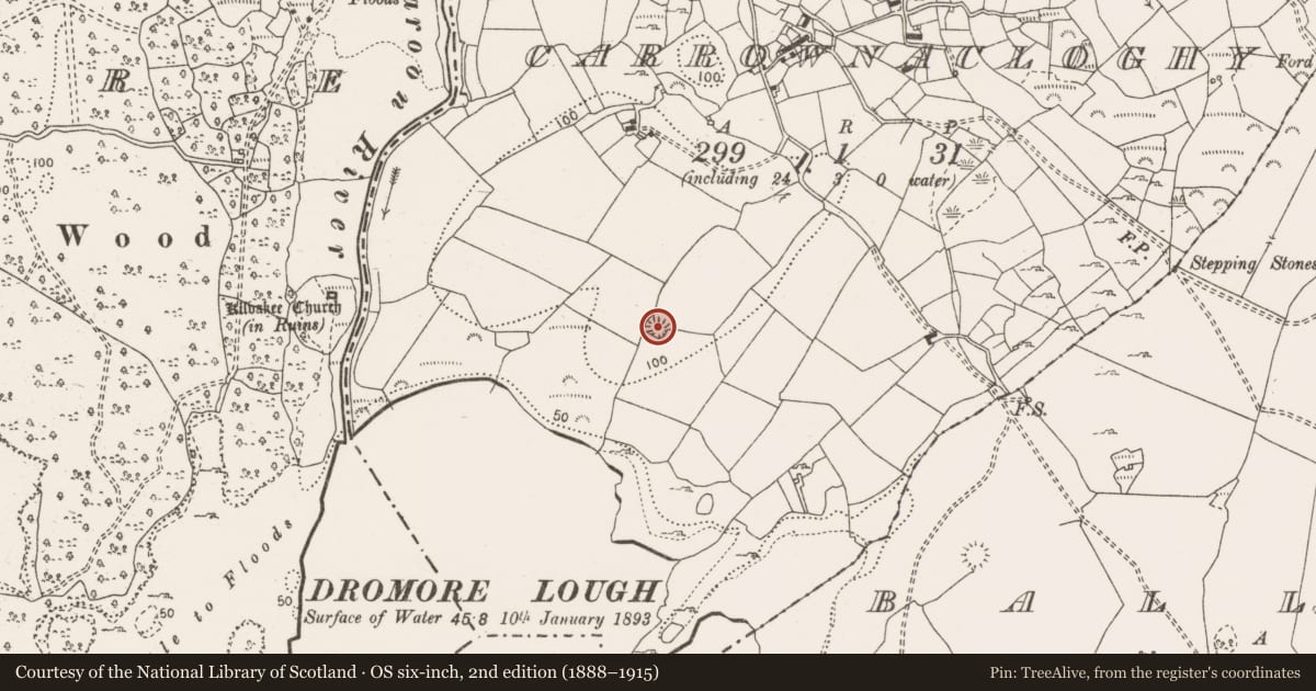 Ordnance Survey six-inch map, 2nd edition (1888–1915) covering the location of Ringfort - rath, Carrownacloghy, County Clare, with a pin at the register's coordinates