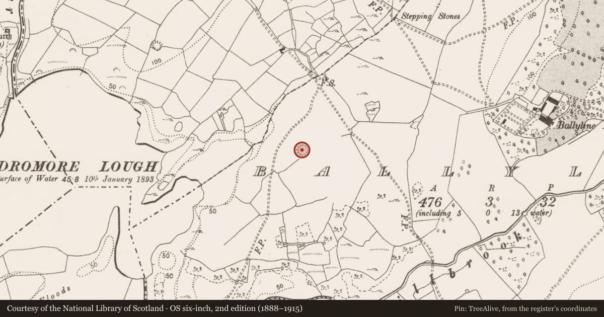 Ordnance Survey six-inch map, 2nd edition (1888–1915) covering the location of Ringfort - rath, Ballyline, County Clare, with a pin at the register's coordinates