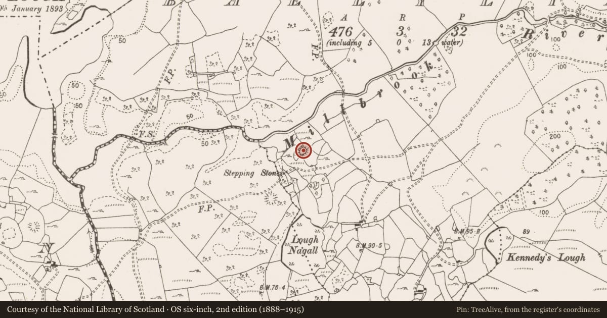 Ordnance Survey six-inch map, 2nd edition (1888–1915) covering the location of Ringfort - cashel, Ballyline, County Clare, with a pin at the register's coordinates