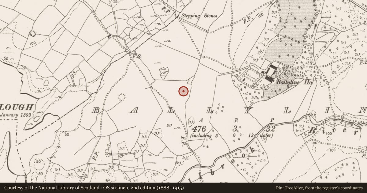 Ordnance Survey six-inch map, 2nd edition (1888–1915) covering the location of Ringfort - rath, Ballyline, County Clare, with a pin at the register's coordinates