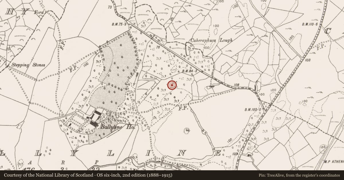 Ordnance Survey six-inch map, 2nd edition (1888–1915) covering the location of Enclosure, Ballyline, County Clare, with a pin at the register's coordinates
