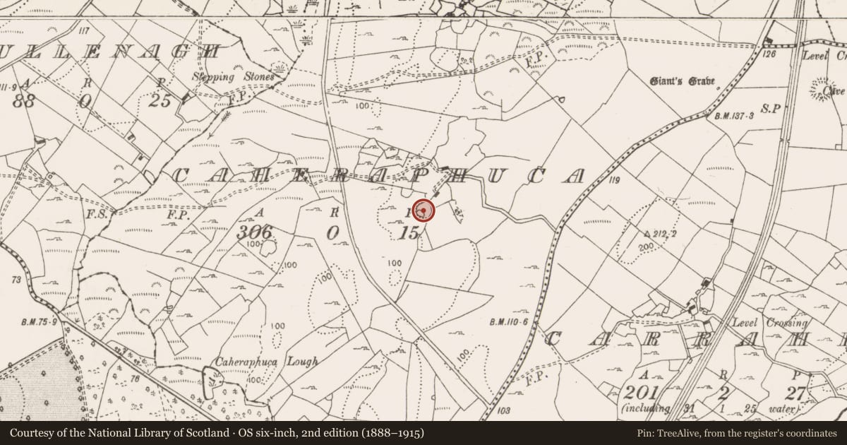 Ordnance Survey six-inch map, 2nd edition (1888–1915) covering the location of Ringfort - cashel, Caheraphuca, County Clare, with a pin at the register's coordinates
