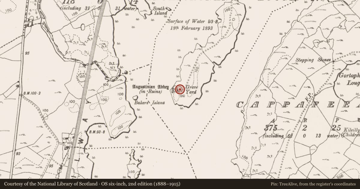 Ordnance Survey six-inch map, 2nd edition (1888–1915) covering the location of Graveyard, Inchicronan Island, County Clare, with a pin at the register's coordinates