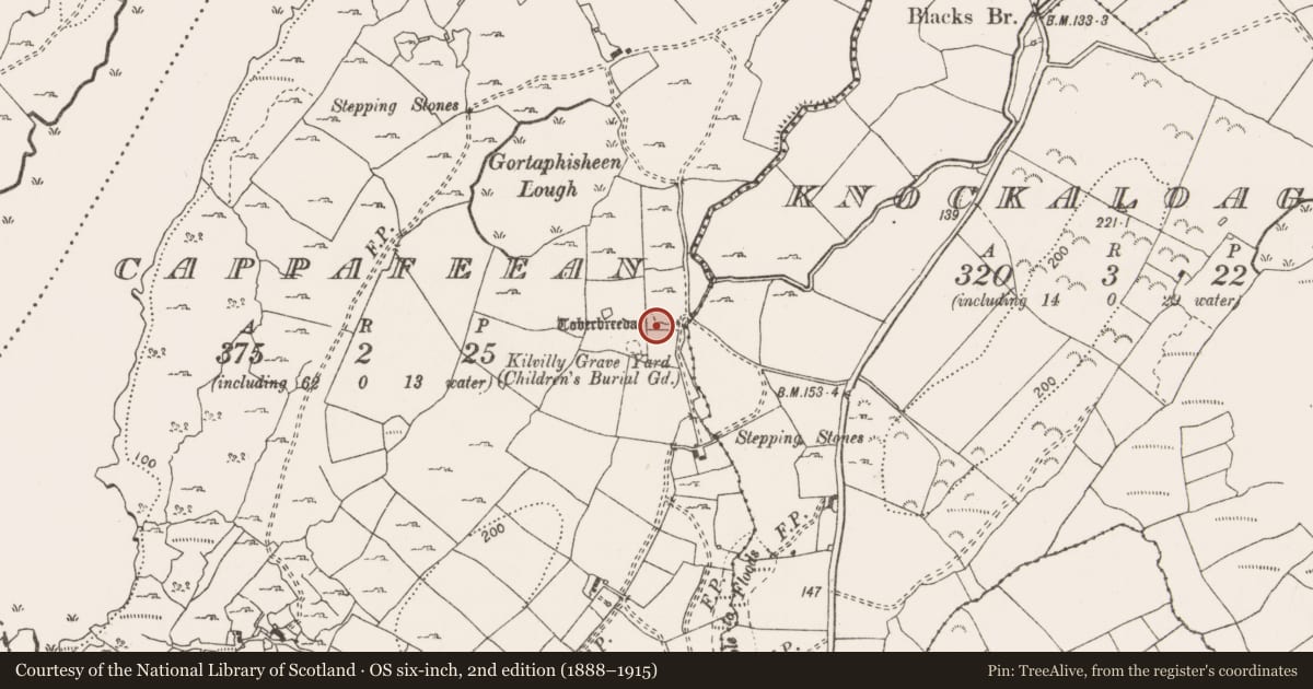 Ordnance Survey six-inch map, 2nd edition (1888–1915) covering the location of Ritual site - holy well, Cappafeean, County Clare, with a pin at the register's coordinates