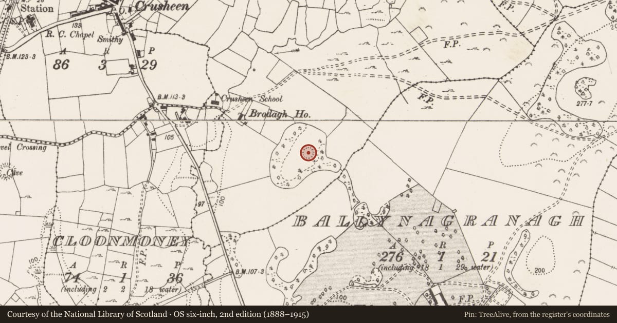 Ordnance Survey six-inch map, 2nd edition (1888–1915) covering the location of Ringfort - rath, Drummanneen, County Clare, with a pin at the register's coordinates