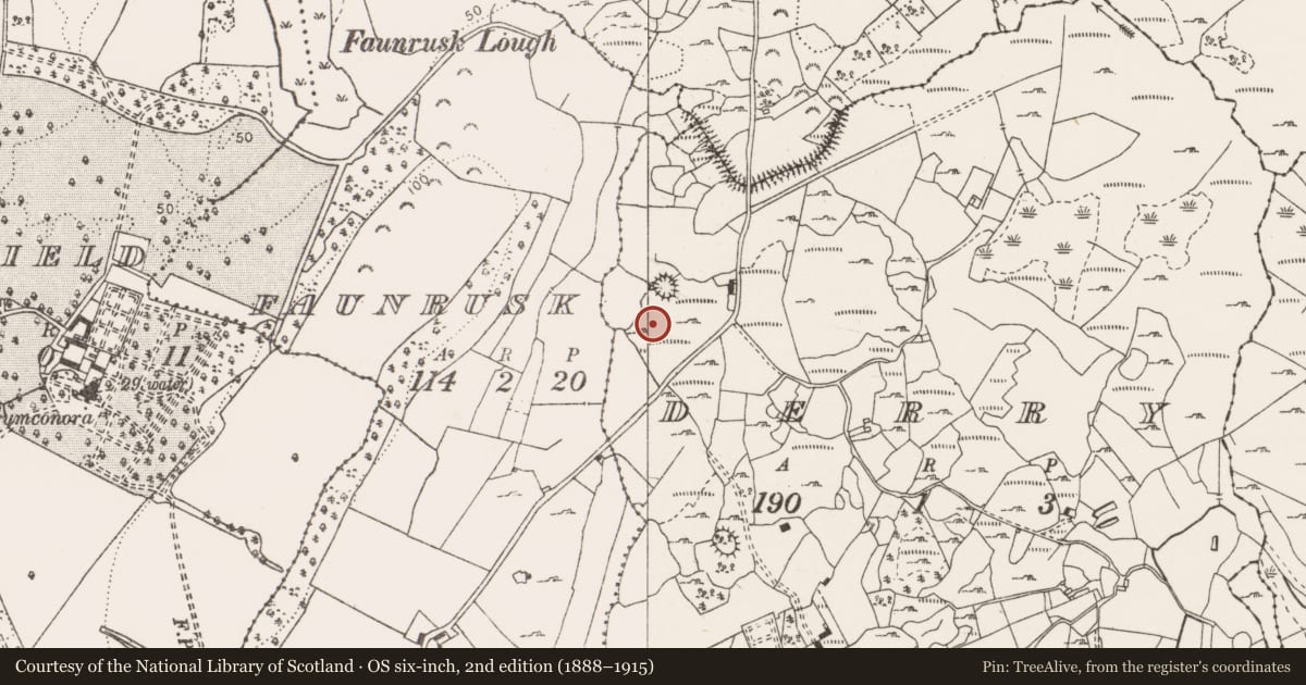 Ordnance Survey six-inch map, 2nd edition (1888–1915) covering the location of Ringfort - cashel, Derry, County Clare, with a pin at the register's coordinates