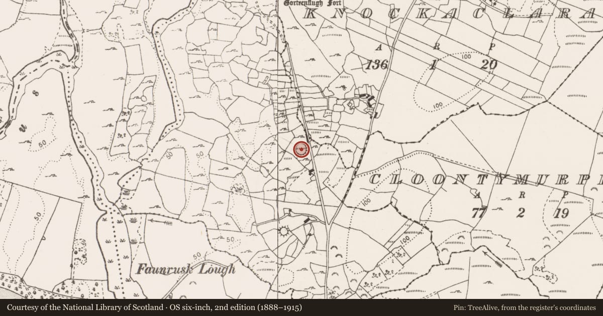 Ordnance Survey six-inch map, 2nd edition (1888–1915) covering the location of Ringfort - cashel, Ballycarroll, County Clare, with a pin at the register's coordinates