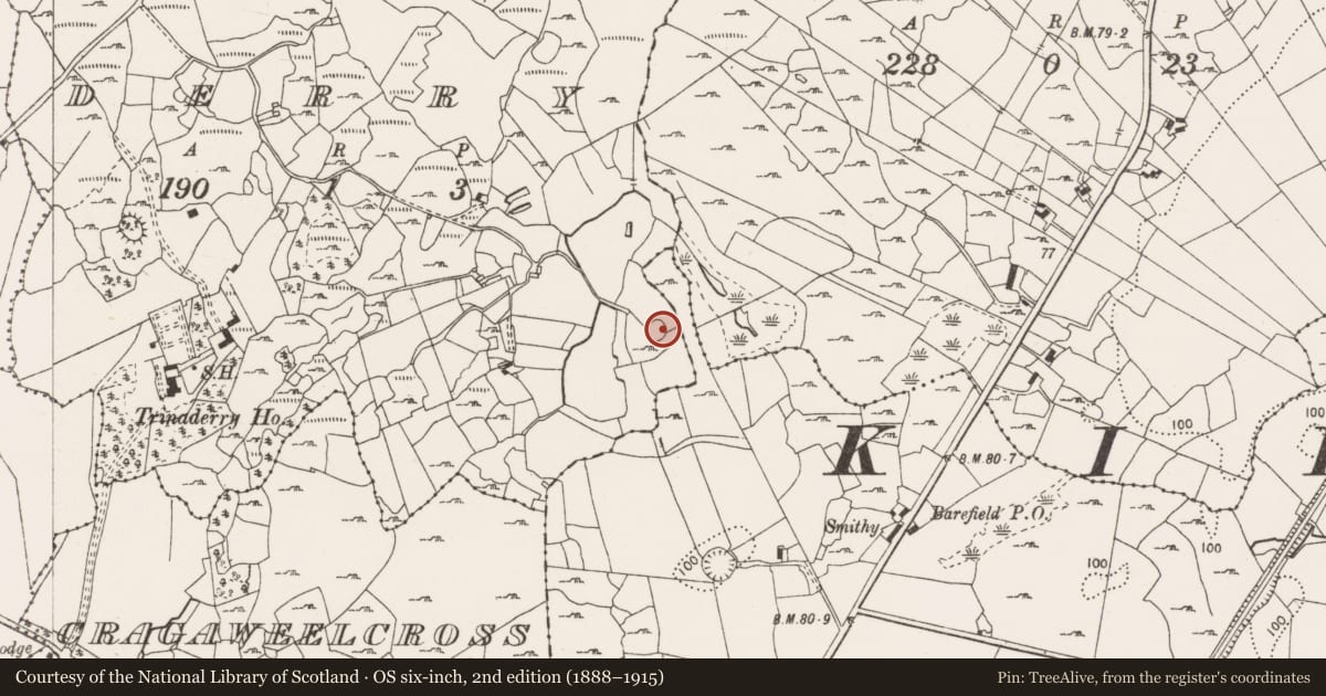 Ordnance Survey six-inch map, 2nd edition (1888–1915) covering the location of Ringfort - cashel, Derry, County Clare, with a pin at the register's coordinates