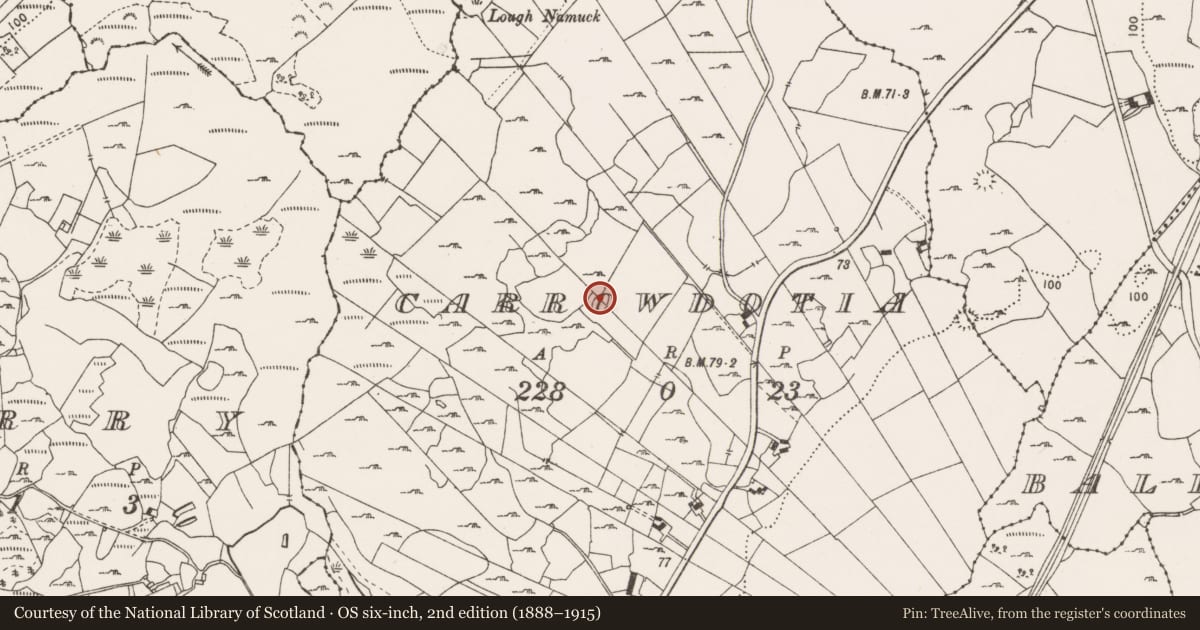 Ordnance Survey six-inch map, 2nd edition (1888–1915) covering the location of Ringfort - cashel, Carrowdotia, County Clare, with a pin at the register's coordinates
