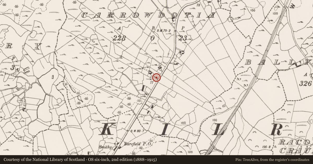 Ordnance Survey six-inch map, 2nd edition (1888–1915) covering the location of Fulacht fia, Carrowdotia, County Clare, with a pin at the register's coordinates