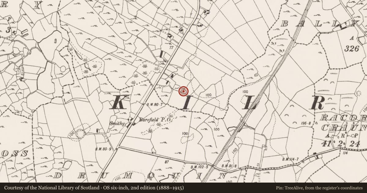 Ordnance Survey six-inch map, 2nd edition (1888–1915) covering the location of Ringfort - cashel, Carrowdotia, County Clare, with a pin at the register's coordinates
