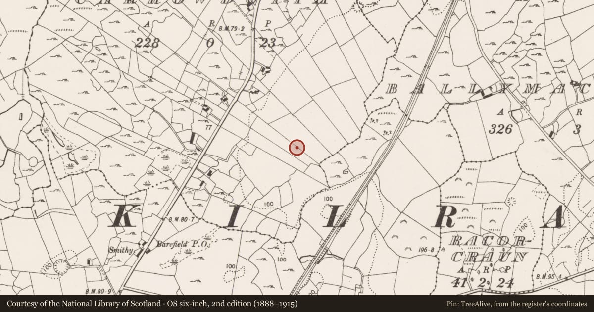 Ordnance Survey six-inch map, 2nd edition (1888–1915) covering the location of Standing stone, Carrowdotia, County Clare, with a pin at the register's coordinates