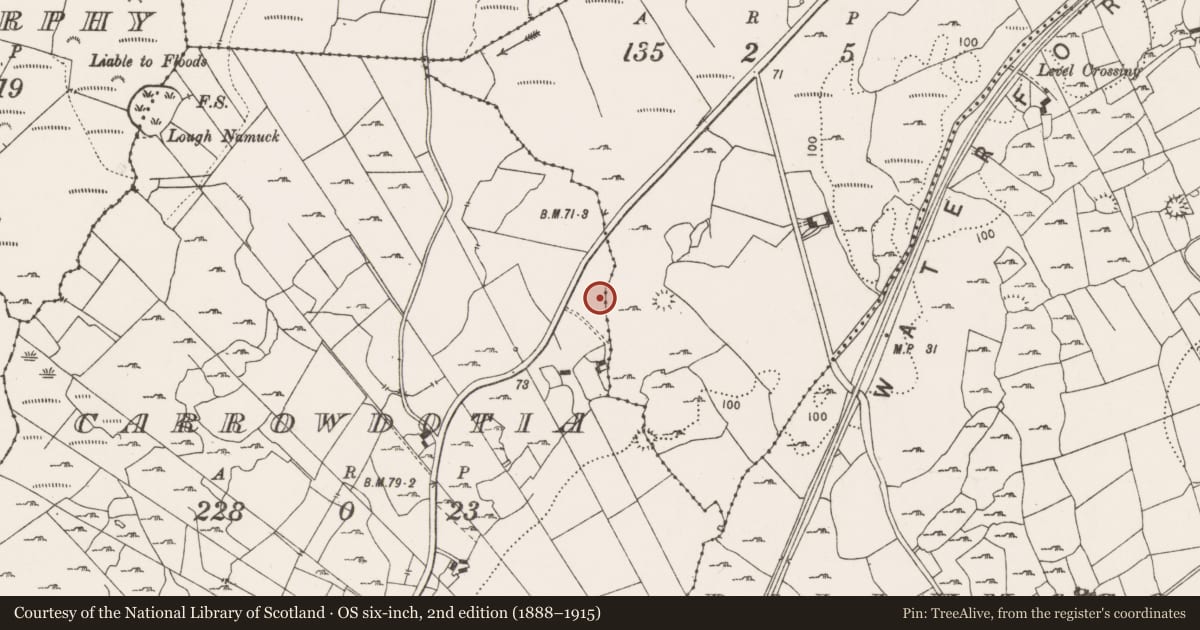 Ordnance Survey six-inch map, 2nd edition (1888–1915) covering the location of Earthwork, Carrowdotia, County Clare, with a pin at the register's coordinates