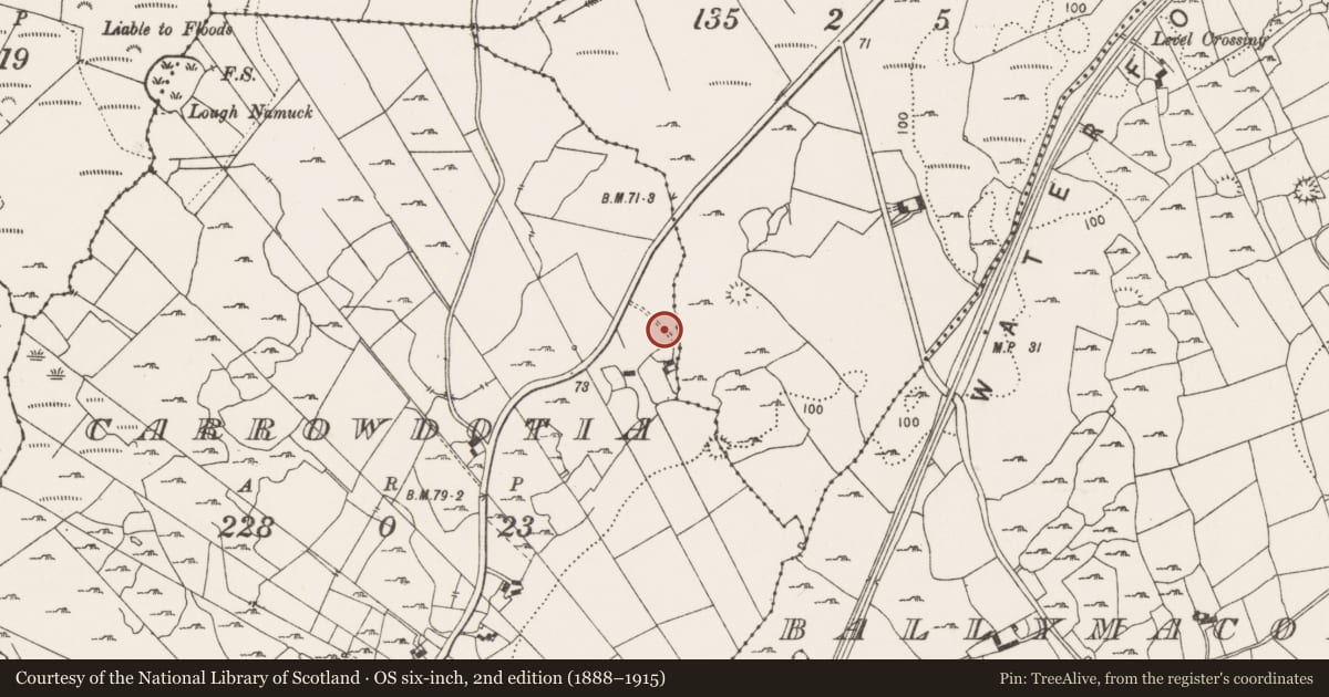 Ordnance Survey six-inch map, 2nd edition (1888–1915) covering the location of Earthwork, Carrowdotia, County Clare, with a pin at the register's coordinates