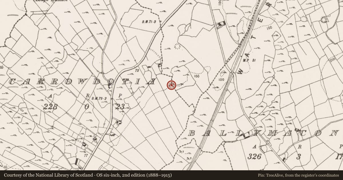Ordnance Survey six-inch map, 2nd edition (1888–1915) covering the location of Ringfort - cashel, Cragard, Carrowdotia, County Clare, with a pin at the register's coordinates
