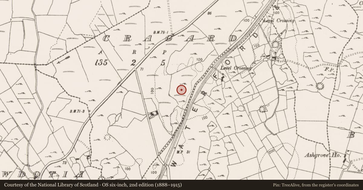 Ordnance Survey six-inch map, 2nd edition (1888–1915) covering the location of Ringfort - cashel, Cragard, County Clare, with a pin at the register's coordinates