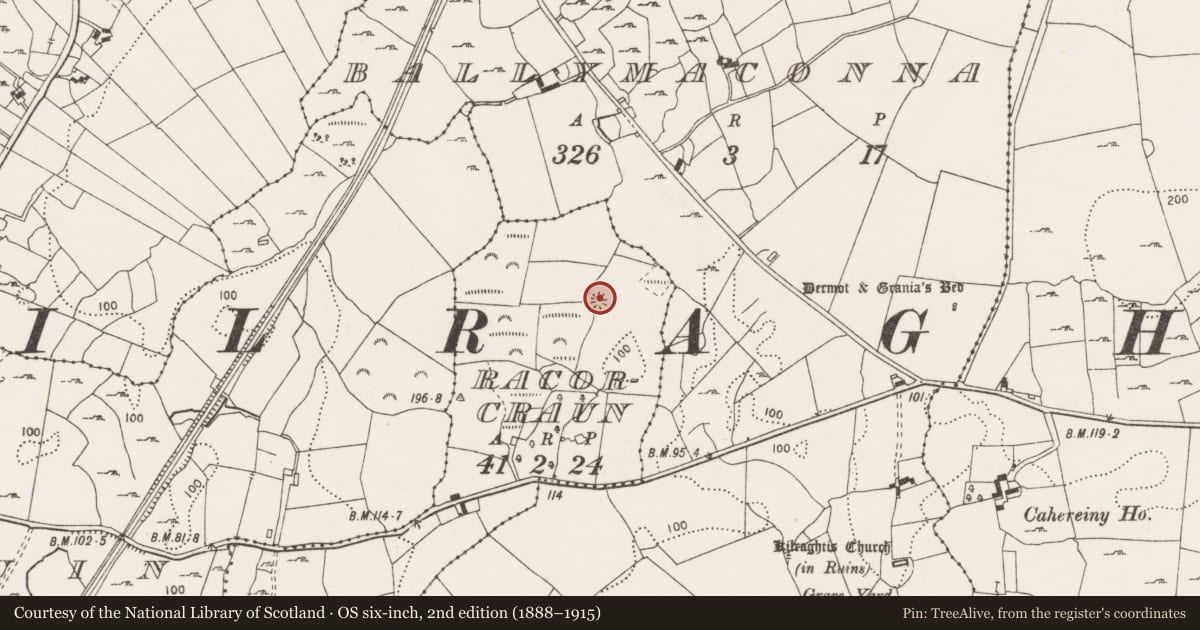 Ordnance Survey six-inch map, 2nd edition (1888–1915) covering the location of Ringfort - cashel, Racorcraun, County Clare, with a pin at the register's coordinates