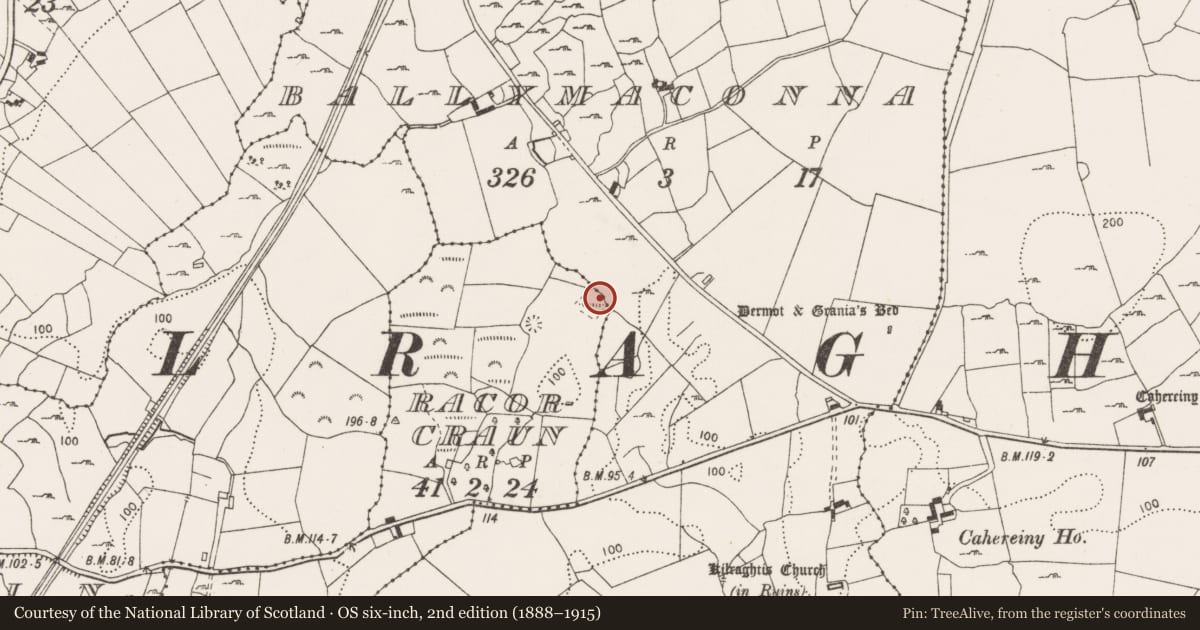 Ordnance Survey six-inch map, 2nd edition (1888–1915) covering the location of Enclosure, Racorcraun, County Clare, with a pin at the register's coordinates