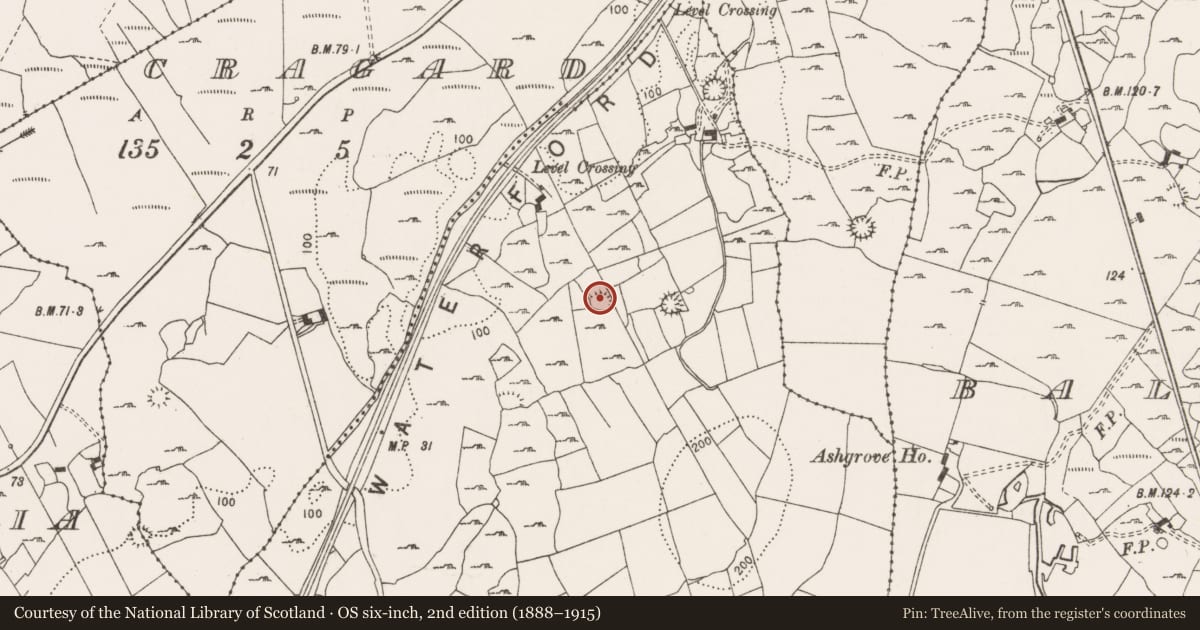 Ordnance Survey six-inch map, 2nd edition (1888–1915) covering the location of Ringfort - cashel, Ballymaconna, County Clare, with a pin at the register's coordinates