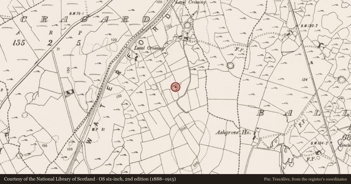 Ordnance Survey six-inch map, 2nd edition (1888–1915) covering the location of Earthwork, Ballymaconna, County Clare, with a pin at the register's coordinates