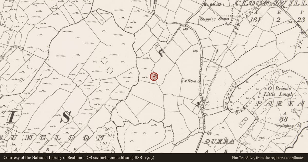 Ordnance Survey six-inch map, 2nd edition (1888–1915) covering the location of Ringfort - rath, Cloonawillin, County Clare, with a pin at the register's coordinates