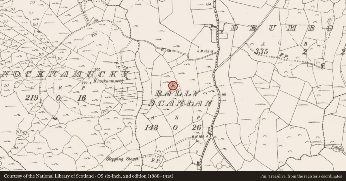 Ordnance Survey six-inch map, 2nd edition (1888–1915) covering the location of Ringfort - cashel, Ballyscanlan, County Clare, with a pin at the register's coordinates