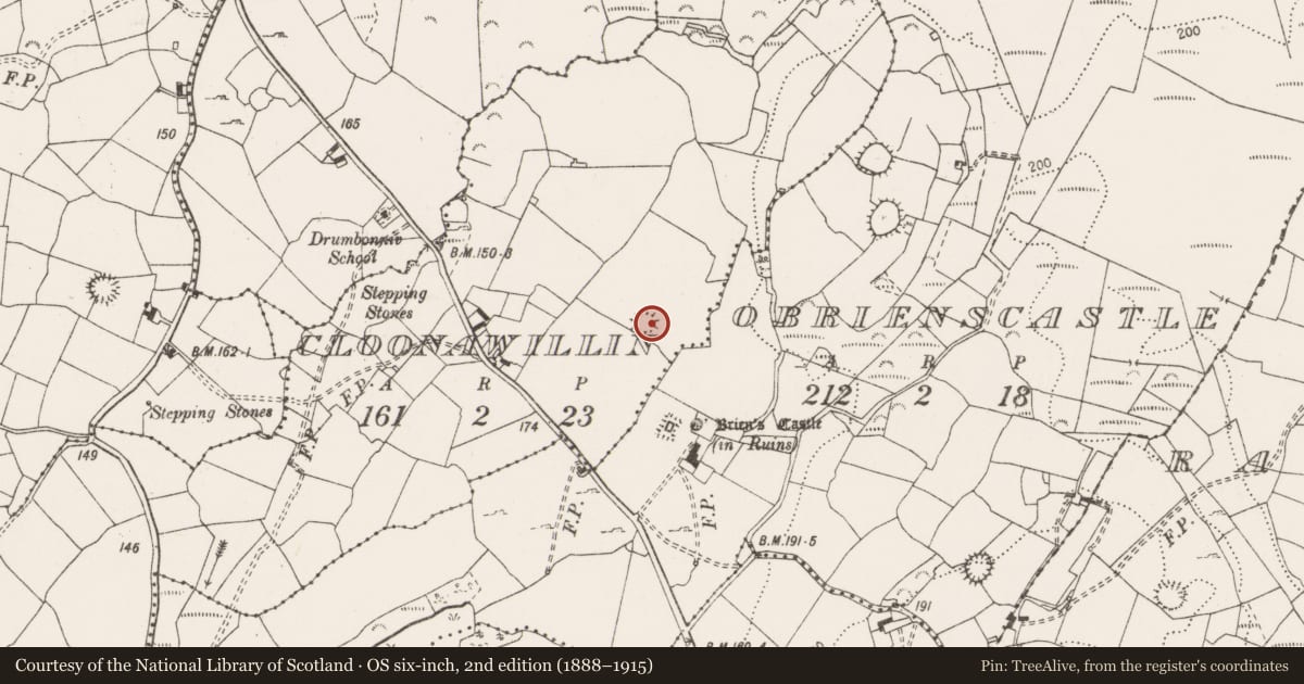Ordnance Survey six-inch map, 2nd edition (1888–1915) covering the location of Ringfort - rath, Cloonawillin, County Clare, with a pin at the register's coordinates