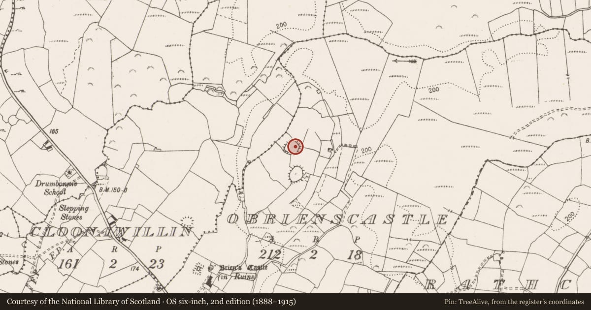Ordnance Survey six-inch map, 2nd edition (1888–1915) covering the location of Ringfort - rath, O'Brienscastle, County Clare, with a pin at the register's coordinates