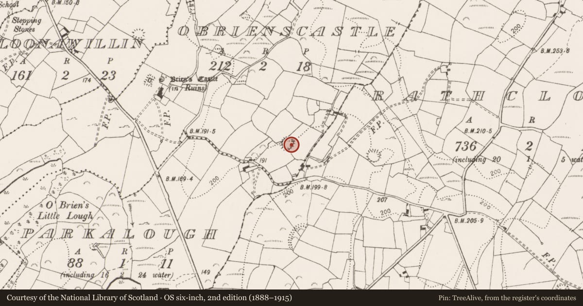 Ordnance Survey six-inch map, 2nd edition (1888–1915) covering the location of Hut site, O'Brienscastle, County Clare, with a pin at the register's coordinates