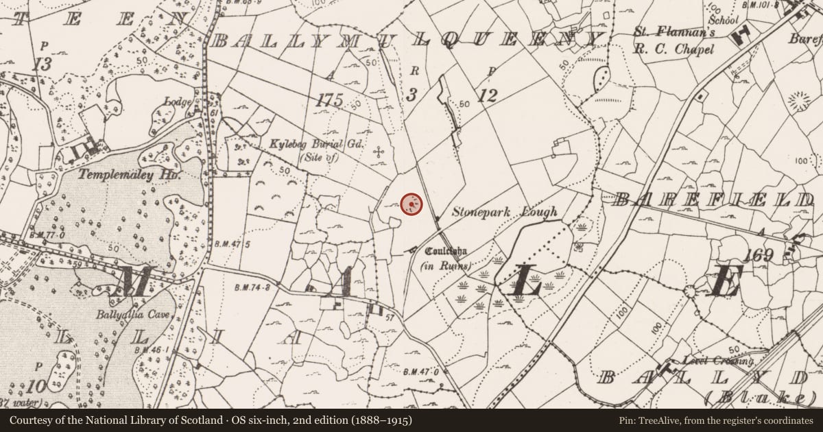 Ordnance Survey six-inch map, 2nd edition (1888–1915) covering the location of Ringfort - cashel, Ballymulqueeny, County Clare, with a pin at the register's coordinates