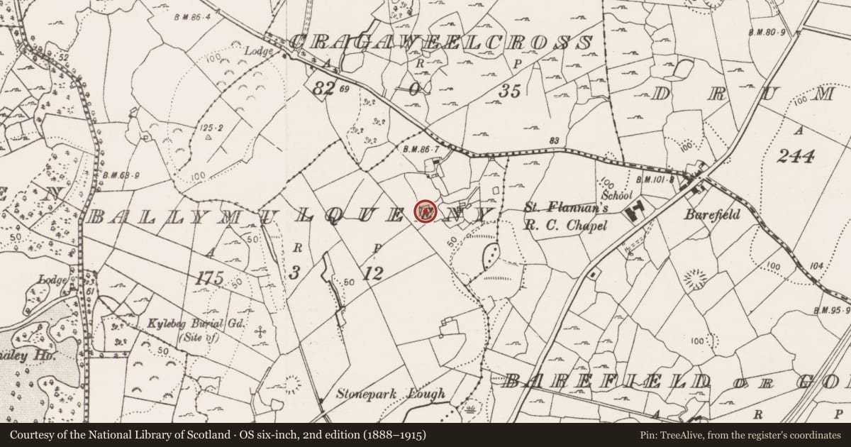 Ordnance Survey six-inch map, 2nd edition (1888–1915) covering the location of Enclosure, Ballymulqueeny, County Clare, with a pin at the register's coordinates