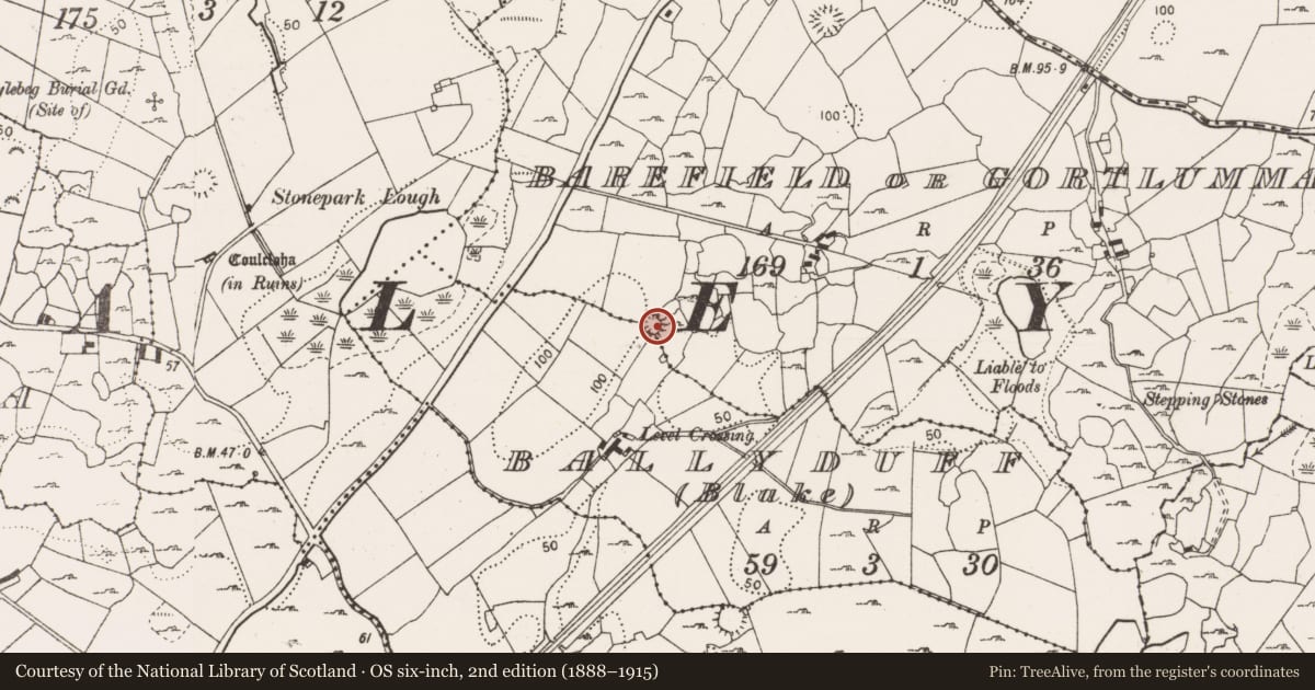 Ordnance Survey six-inch map, 2nd edition (1888–1915) covering the location of Ringfort - cashel, Barefield Or Gortlumman, County Clare, with a pin at the register's coordinates
