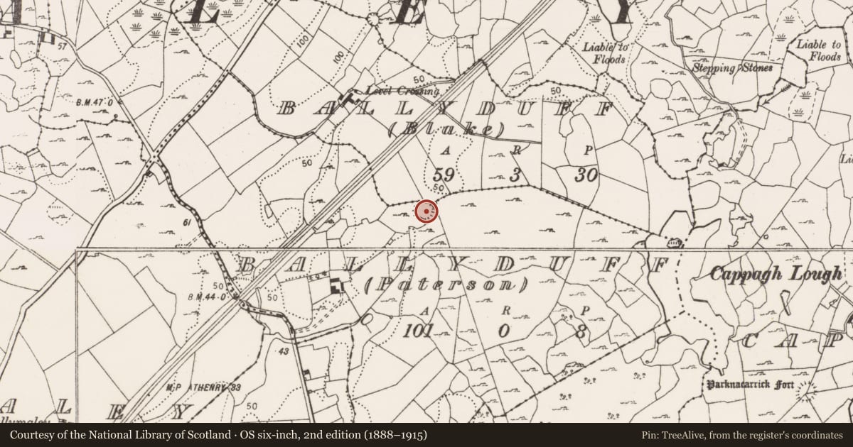 Ordnance Survey six-inch map, 2nd edition (1888–1915) covering the location of Ringfort - cashel, Ballyduff (Paterson), Ballyduff (Blake), County Clare, with a pin at the register's coordinates