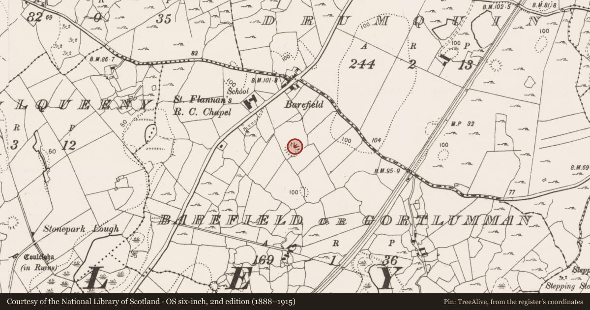 Ordnance Survey six-inch map, 2nd edition (1888–1915) covering the location of Ringfort - rath, Barefield Or Gortlumman, County Clare, with a pin at the register's coordinates