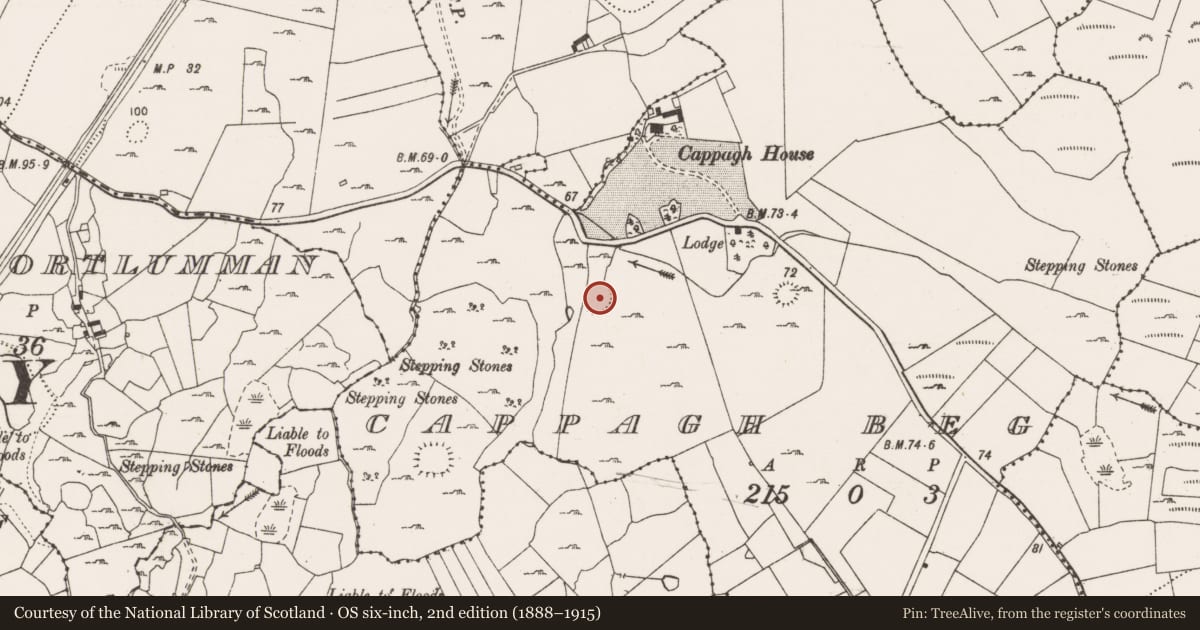 Ordnance Survey six-inch map, 2nd edition (1888–1915) covering the location of Earthwork, Cappagh Beg, County Clare, with a pin at the register's coordinates